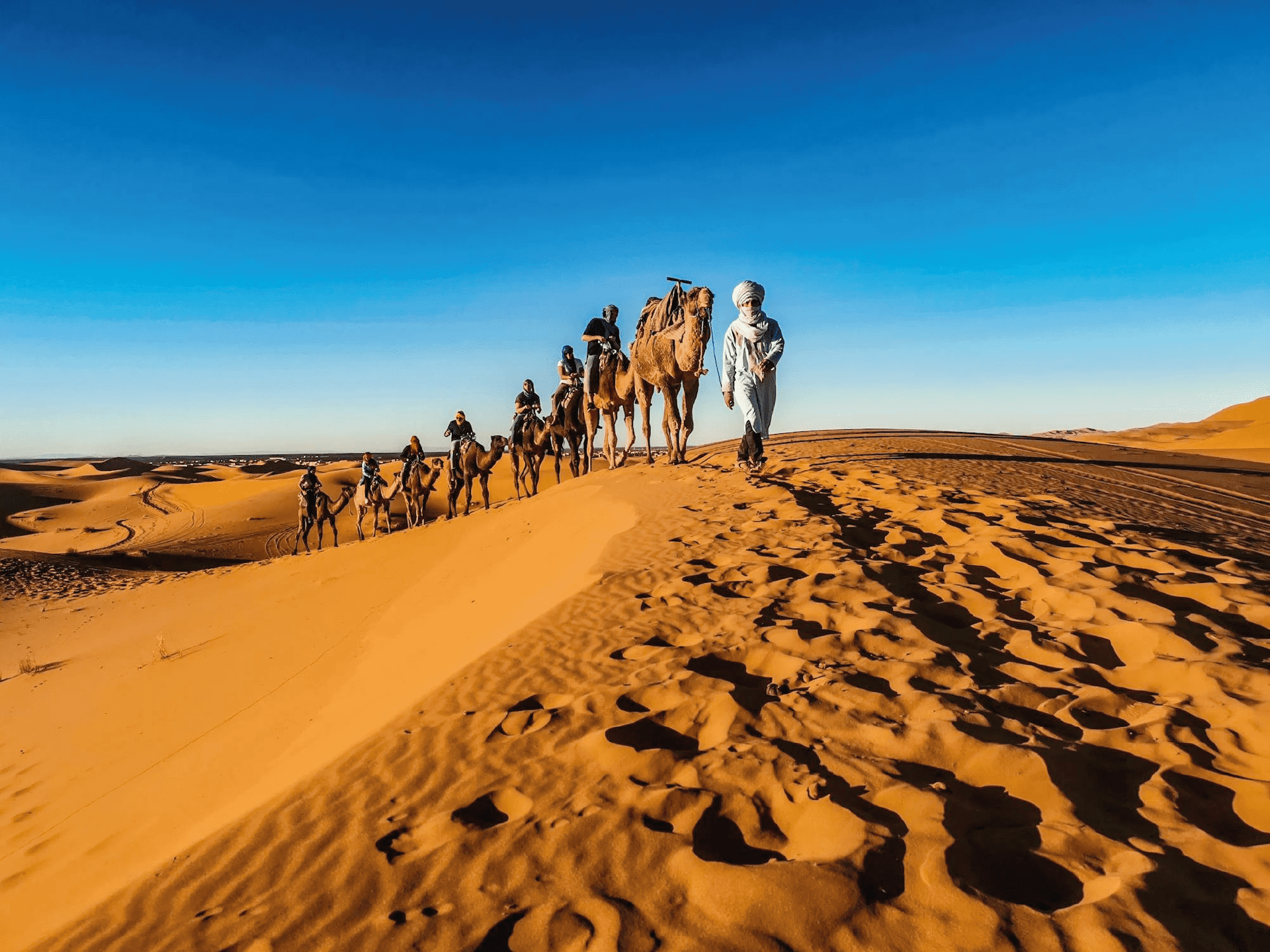 Le Désert Marocain