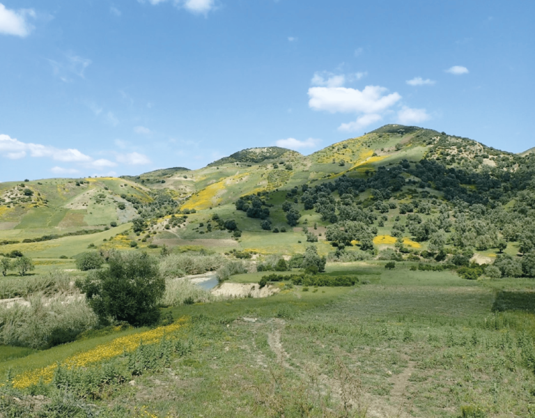 gaiza_conciergerie_nature2_fes_morocco_2