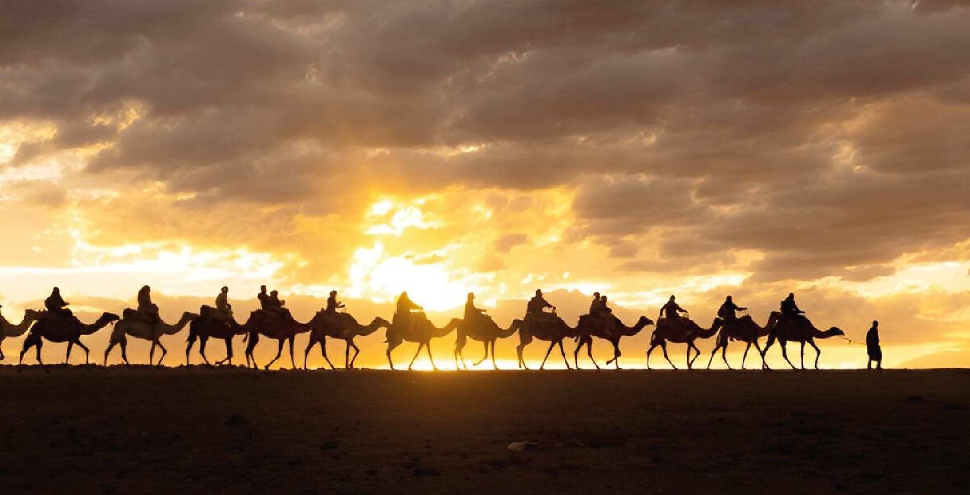 Circuit du Sud : L’Âme du Maroc, Entre Désert et Oasis