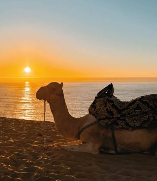 gaiza_conciergerie_le_maroc gaiza_conciergerie_le_maroc