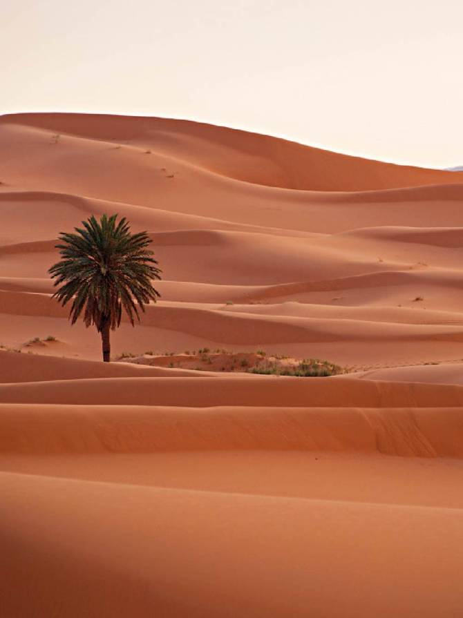 gaiza_conciergerie_merzouga_la_porte_du_desert_maroc_01 gaiza_conciergerie_merzouga_la_porte_du_desert_maroc_01
